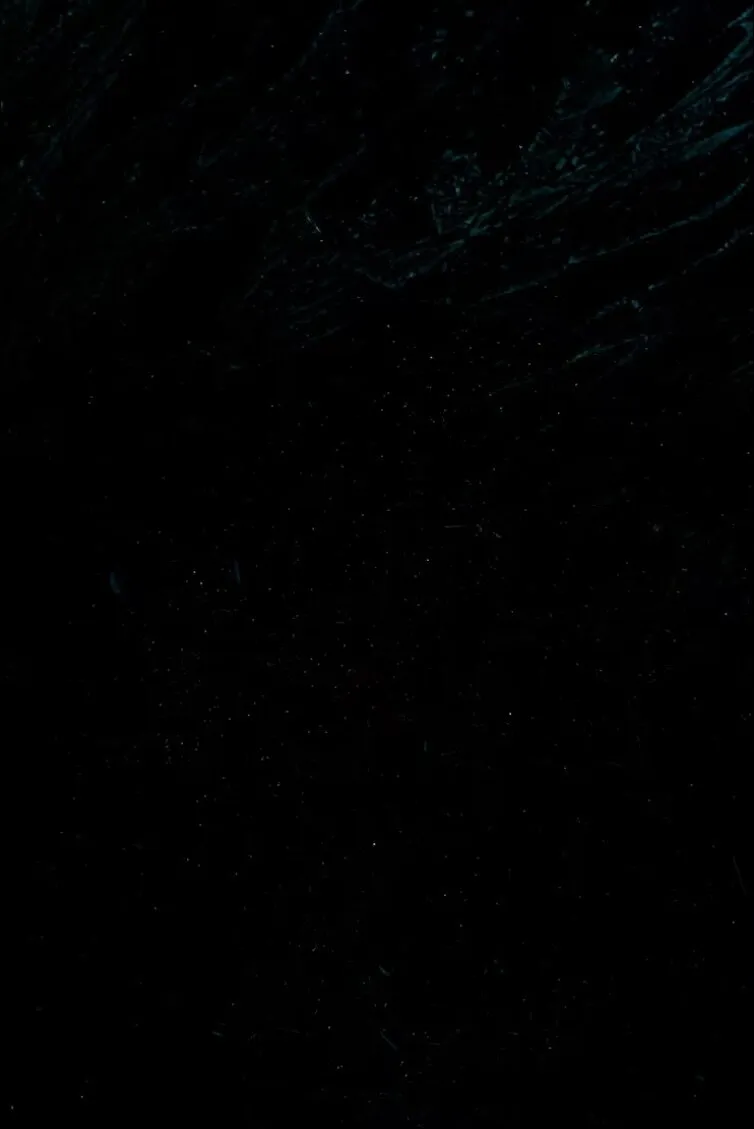 BrunetteBombXX - Content Creator